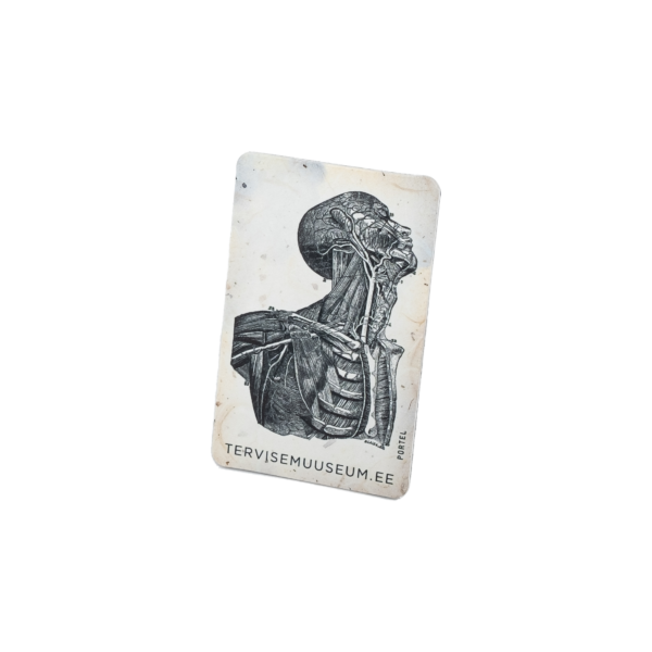 Külmkapimagnet PORTREE/ Fridge magnet PORTRAIT