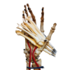 Kondikujuline pastakas, erinevad/ Bone-shaped pen, assorted