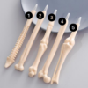 Kondikujuline pastakas, erinevad/ Bone-shaped pen, assorted - Image 2
