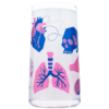 Joogiklaas ANATOOMIA/ Drinking glass ANATOMY