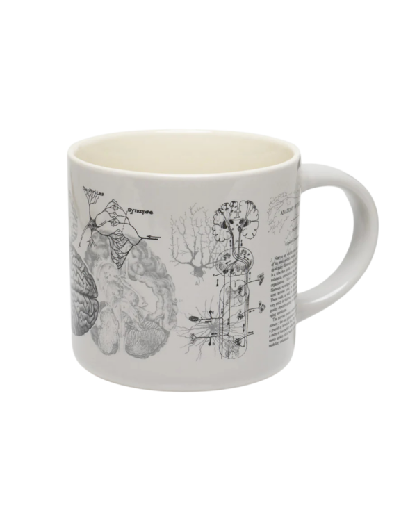 Keraamiline kruus AJU ANATOOMIA/ Ceramic mug BRAIN ANATOMY - Image 2