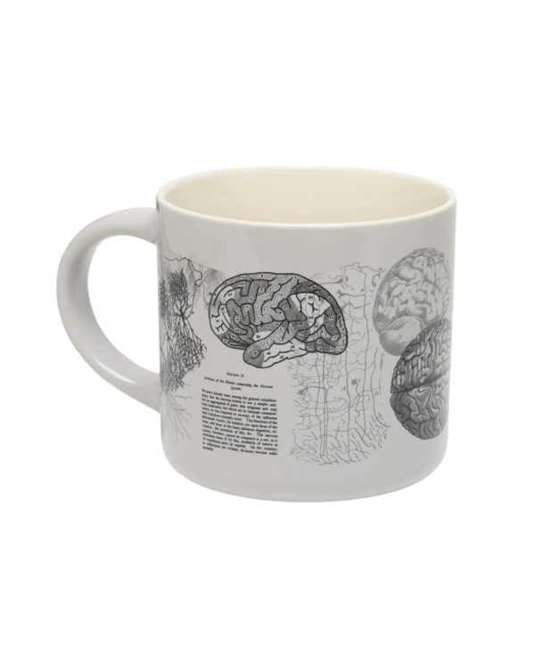 Keraamiline kruus AJU ANATOOMIA/ Ceramic mug BRAIN ANATOMY