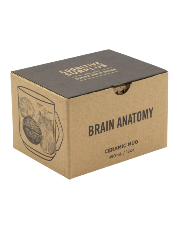 Keraamiline kruus AJU ANATOOMIA/ Ceramic mug BRAIN ANATOMY - Image 3