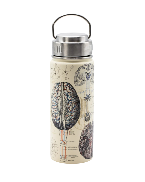 Termospudel AJU /Insulated steel bottle BRAIN