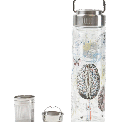 Teesõelaga joogipudel AJU/ Tea infuser bottle BRAIN