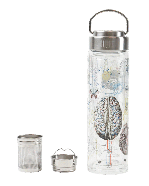 Teesõelaga joogipudel AJU/ Tea infuser bottle BRAIN