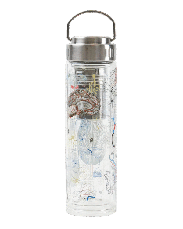 Teesõelaga joogipudel AJU/ Tea infuser bottle BRAIN - Image 3